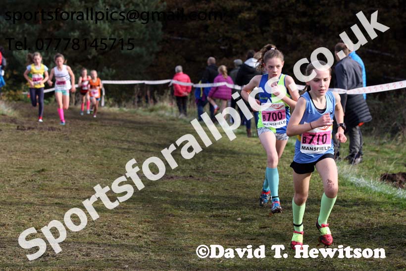 Girls under-13s National Cross Country Relay, Berry Hill Park, Mansfield. Photo:  David T. Hewitson/Sports for All Pics